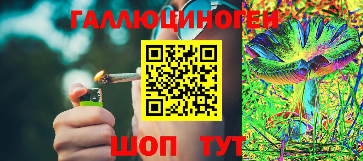 где купить наркотик  Псилоцибиновые грибы ЛСД  Вход с VPN  Удомля 